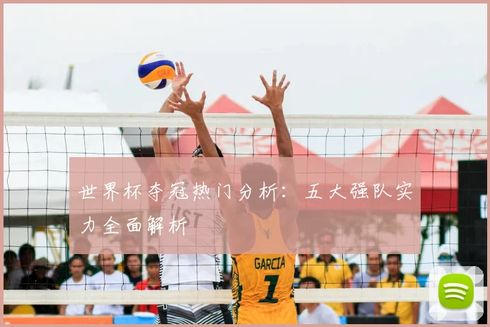 世界杯夺冠热门分析：五大强队实力全面解析