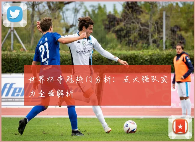 世界杯夺冠热门分析：五大强队实力全面解析